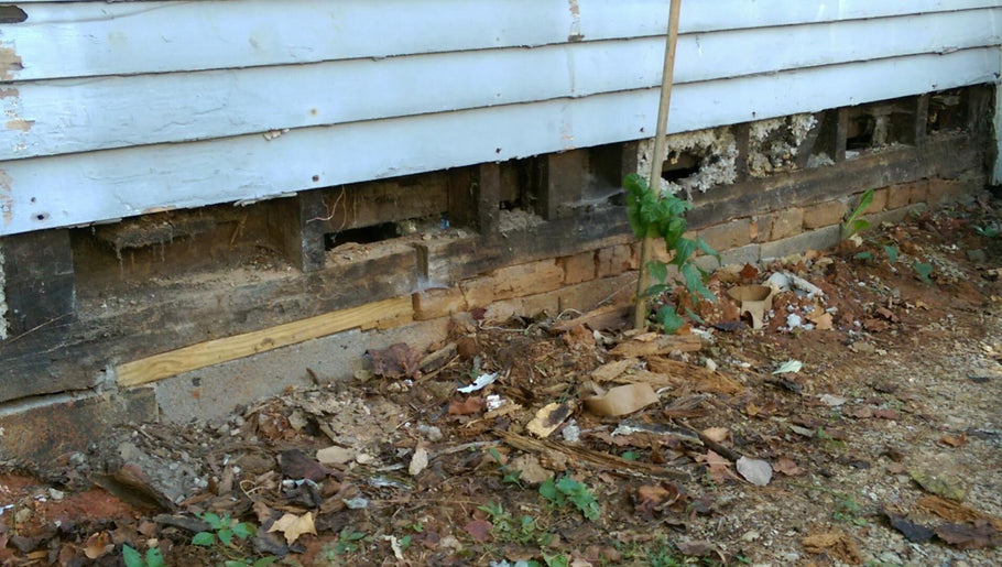 Dryrot Siding Repair